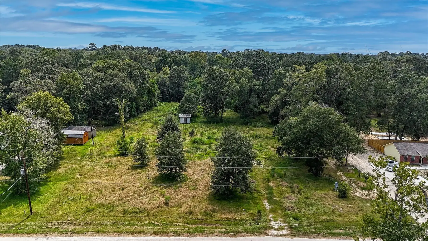 The wooded, grassy lot viewed from the road