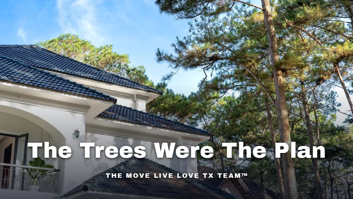 A wooded residential street of large brick and stone homes with mature pines behind the rooftops