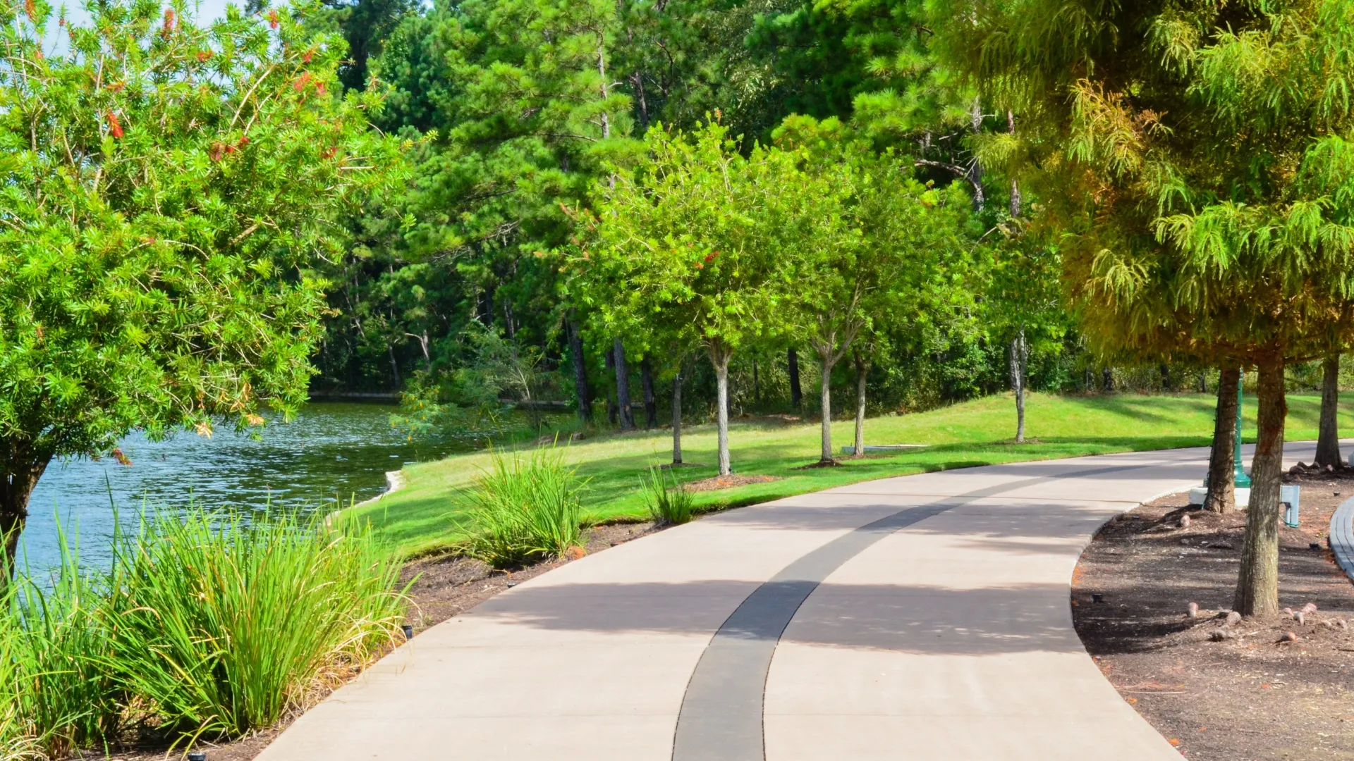 A paved walking trail along Lake Woodlands lined with trees and grass